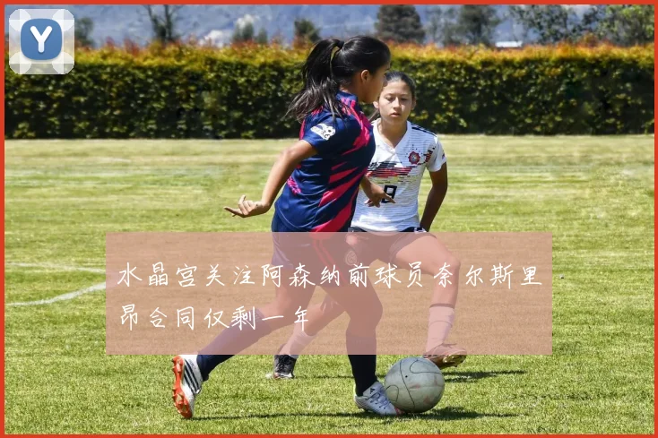 水晶宫关注阿森纳前球员奈尔斯里昂合同仅剩一年